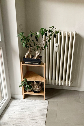 Studio interior